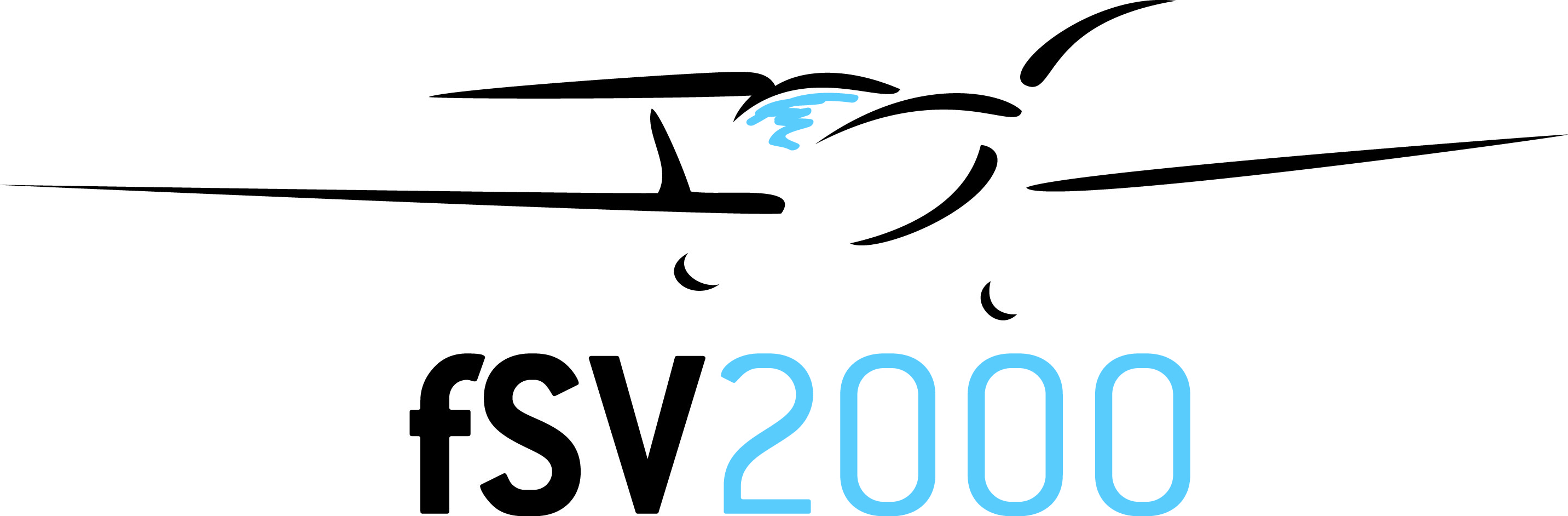 FSV2000